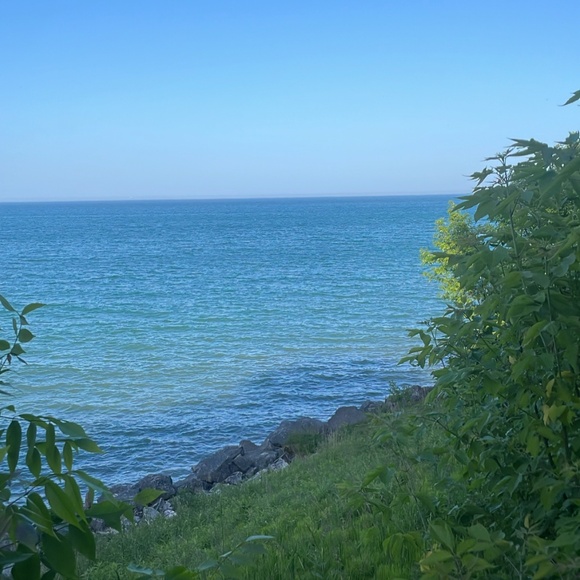 Meet your Posher, Tony tony - Picture 1 of 1